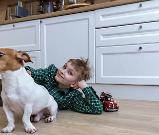 Ламинат MSPC Stone Floor Дуб Хантер К0061-2 MP