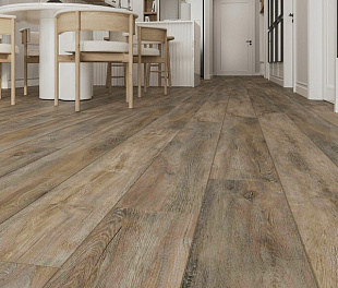 SPC ламинат Evofloor Home - Oak Ashen (Дуб Пепельный) L-20246