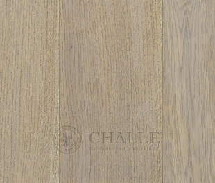 Инженерная доска Challe Дуб Шамуа (Oak Shamua)