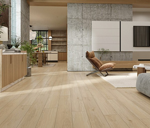 SPC ламинат Evofloor Home - Ash Light (Ясень Светлый) L-20275