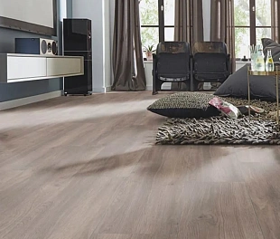 Ламинат Kronotex Exquisit Plus Дуб Эльба Серебряный D6013