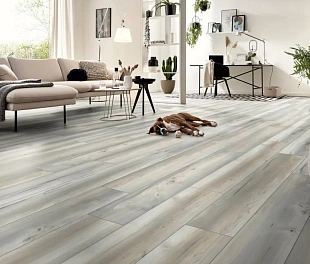 Ламинат Kronotex Exquisit Виллоса Серая D50162