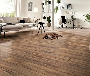 Ламинат Kronotex Aqua Amazone Харизма D80102