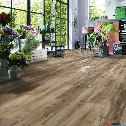 Ламинат Kronotex Exquisit Клен Каньон D6007 - 4